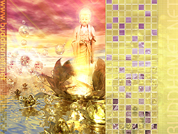 BuddhaNet Desktop Wallpaper 2